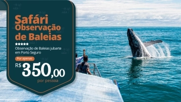 Safári Observação das Baleias Jubarte